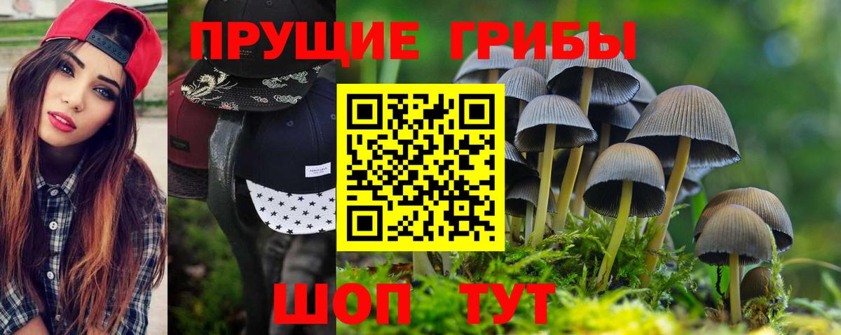 Галлюциногенные грибы Magic Shrooms  Вход с VPN  Псилоцибиновые грибы прущие грибы  Вятские Поляны 